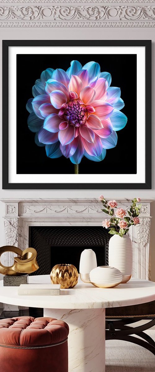 Rainbow Dahlia 3 by MICHAEL FILONOW