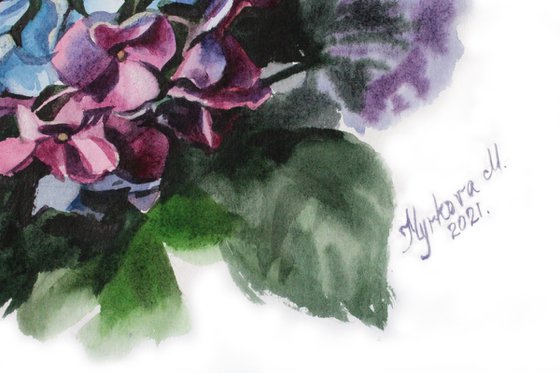 Hydrangea watercolor painting