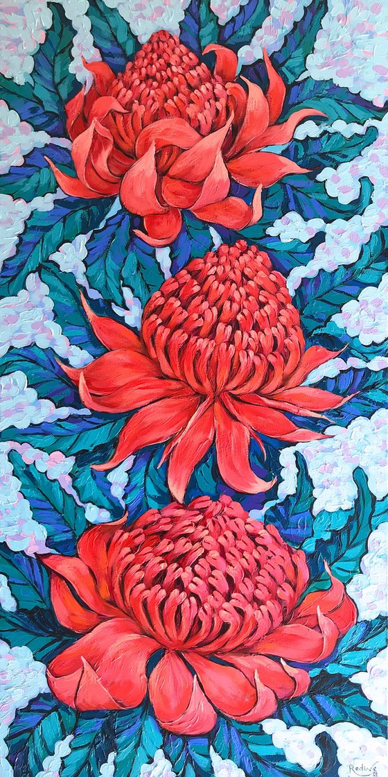 Waratah flowers