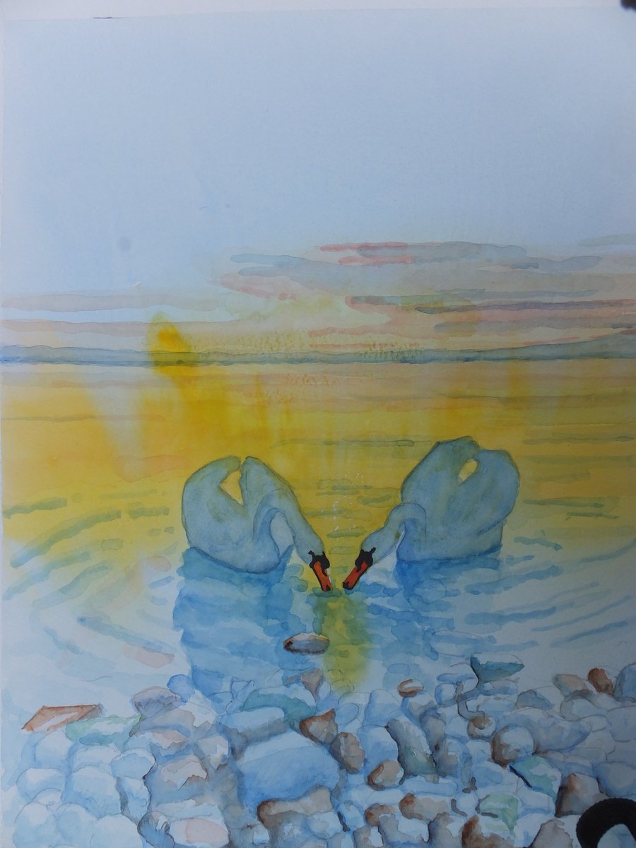 Photorealistic Animal Watercolour By David Harmer, 16 X 20, Two Swans, Original Artwork