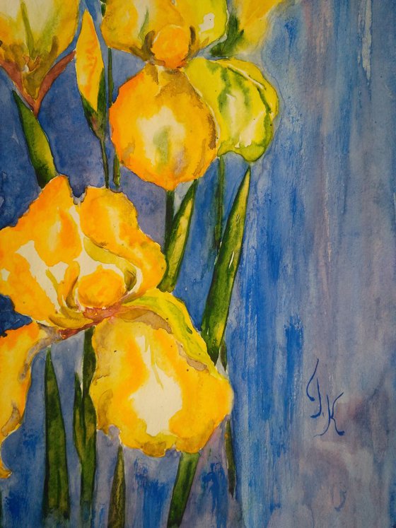 "Yellow irises" 30.5*43 cm\12*17"