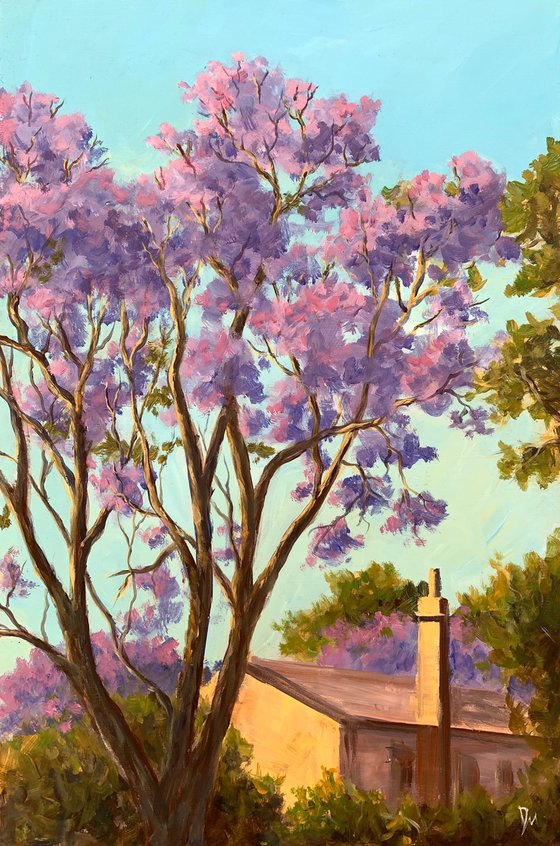 House with jacaranda