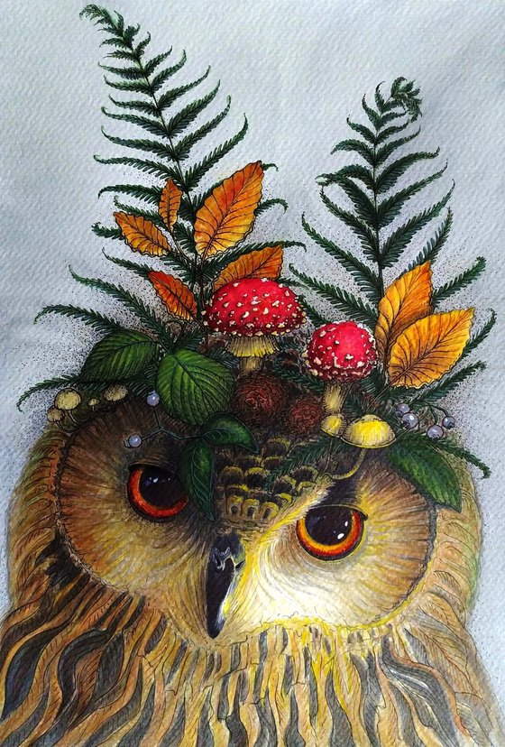 Forest owl