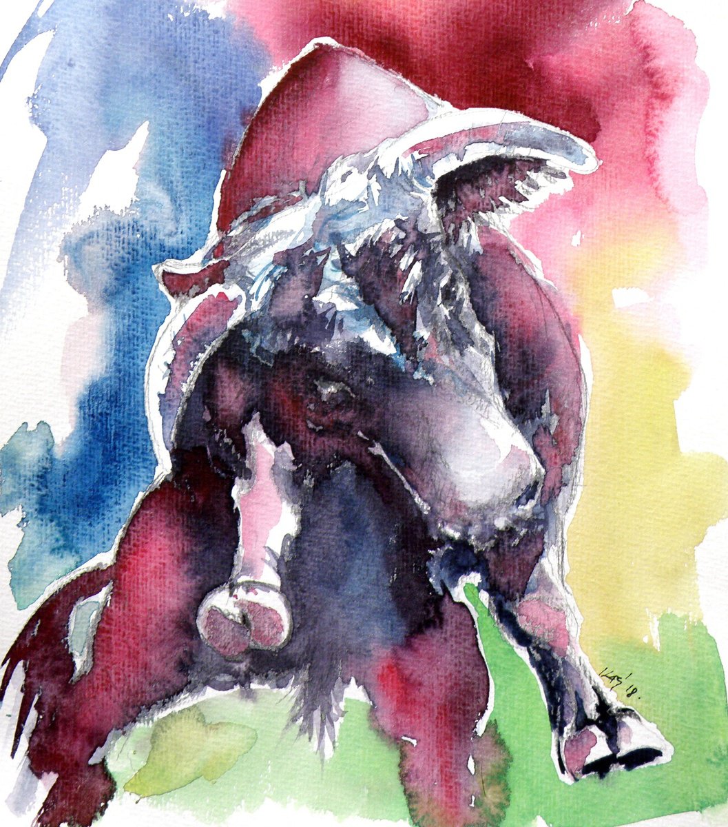 Impressionistic Animal Watercolour By Kovacs Anna Brigitta, 10 X 14", Fighting Bull, Original Artwork