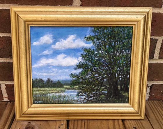 MARSH OAKS - oil 8X10