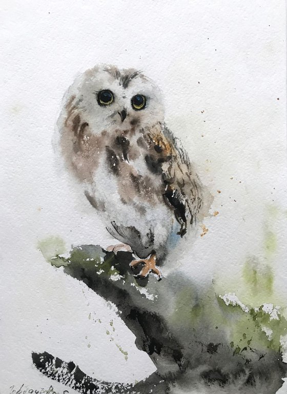 Owl on a branch - 20 x 29 cm