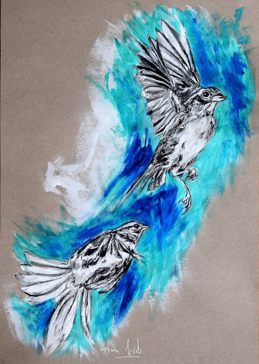 Birds / Illustration by Anna Sidi-Yacoub