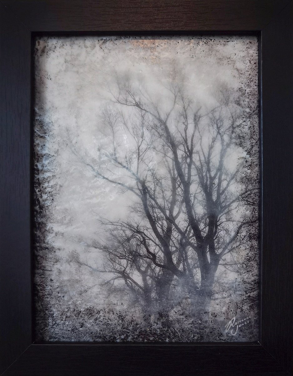 Winter Gloom by Roseanne Jones