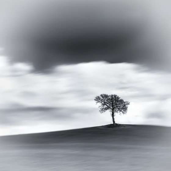 A lone tree on a hill top BW (Studio 2)