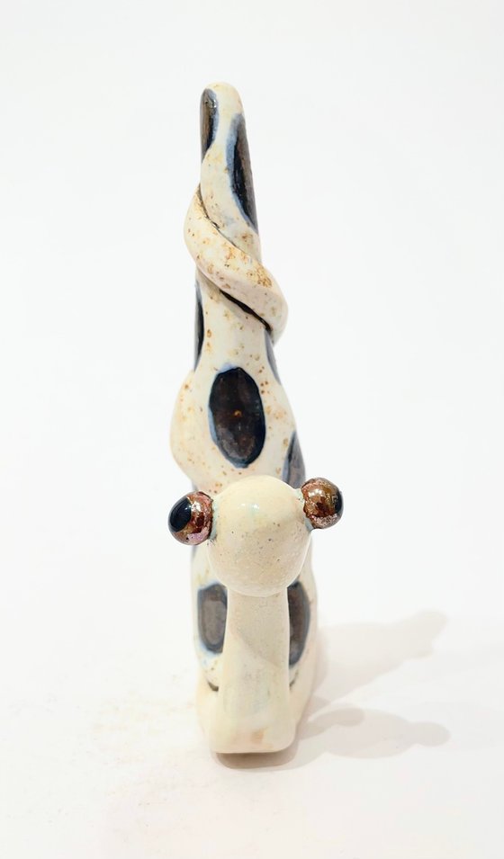 Time’s Slow Embrace