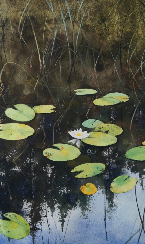 Forest lake by Olga Beliaeva Watercolour