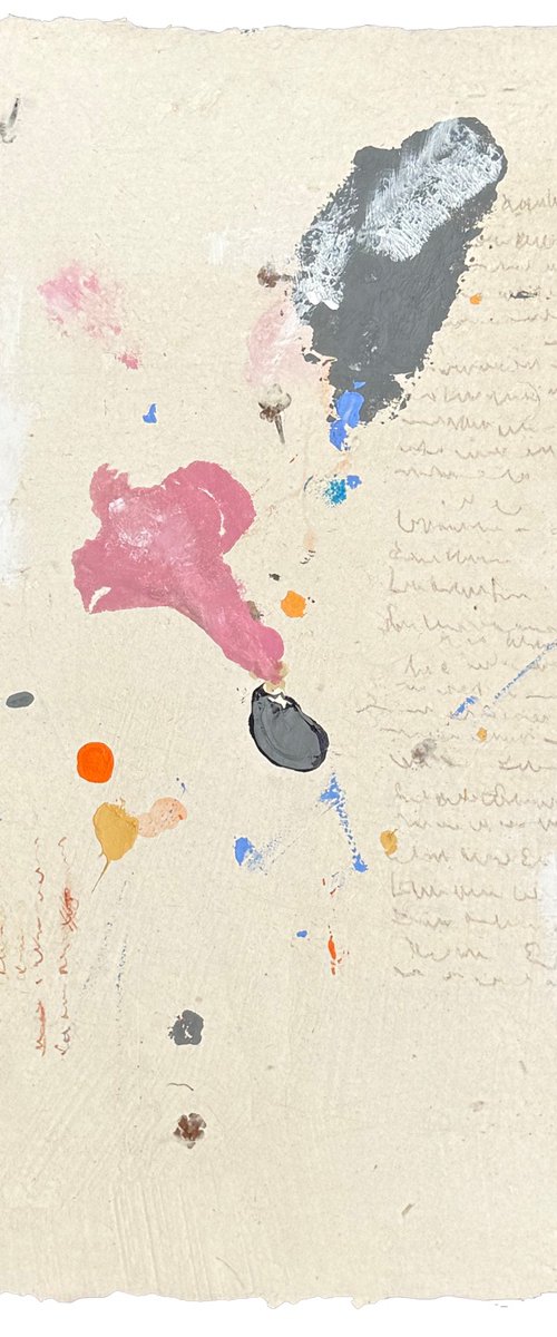 an artistic exploration of flora by gitta pardoel