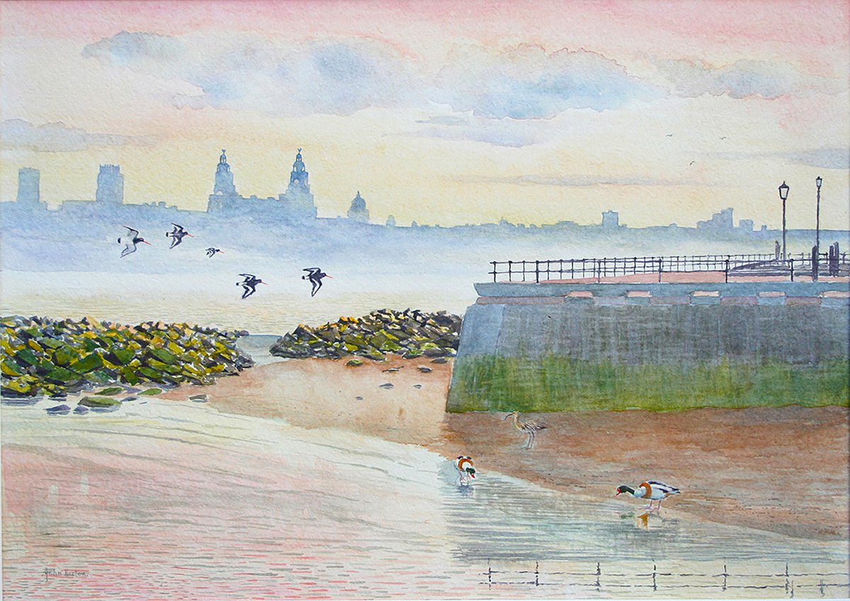 Shorebirds - River Mersey by John Horton