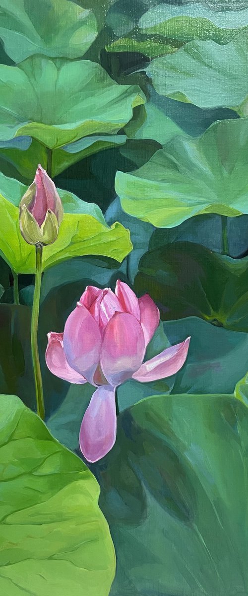 Lotuses. Pond. Time of youth. by Guzel Min