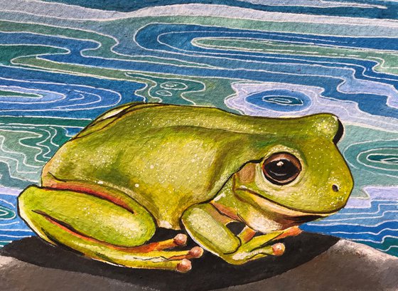 Little green frog