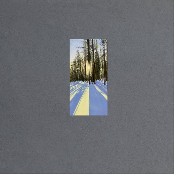 Tranquil Sunrise. Landscape