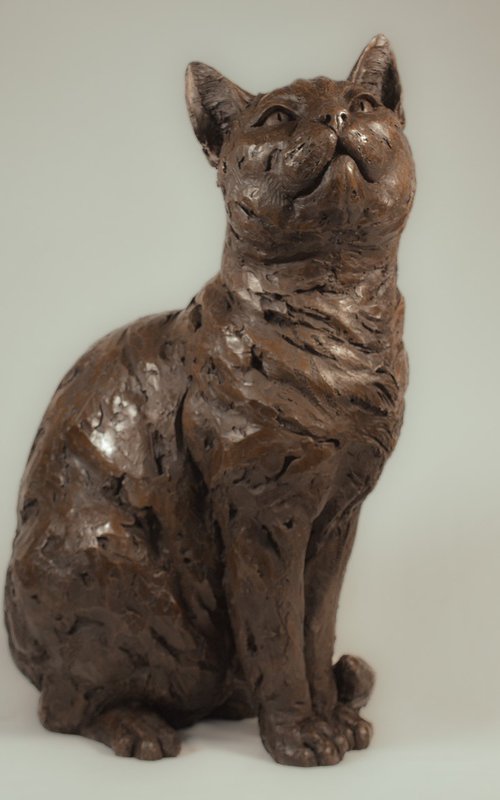 Sitting Cat BR by Tanya Russell