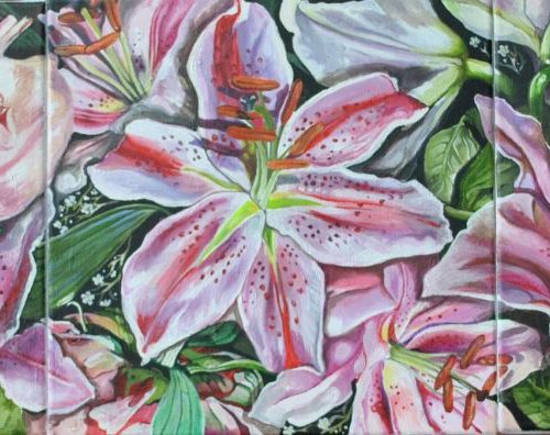 Pink lilies by Ceri Baker