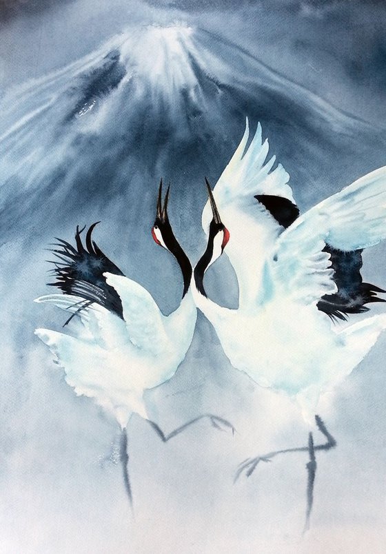 Japanese Red Crowned Cranes Dance
