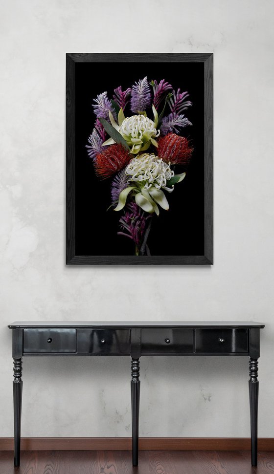 Waratah, Banksia, Mulla Mulla, Kangaroo Paw