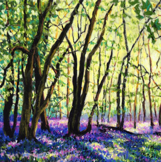 Bluebell Forest Glade