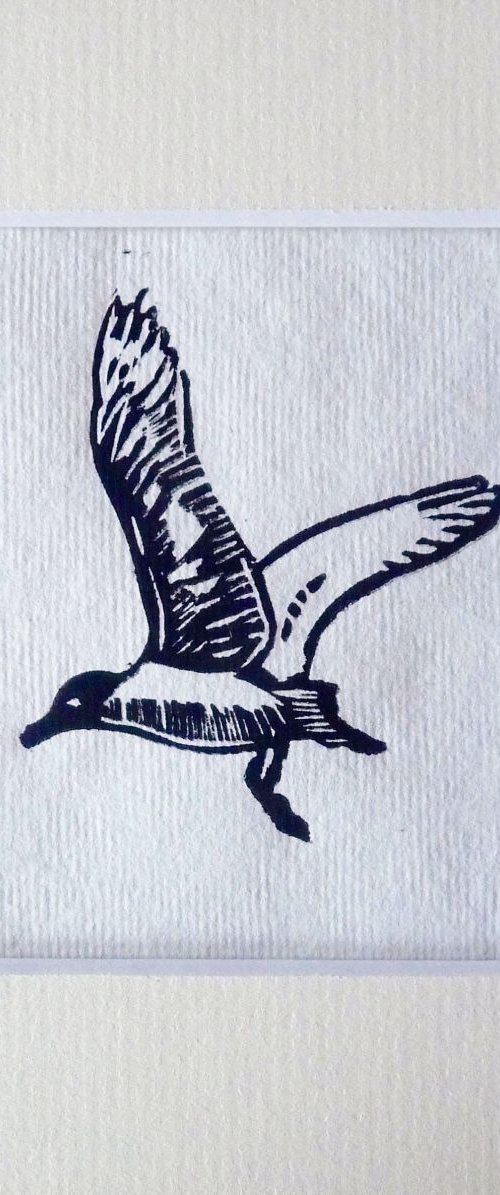 Seagull by Kaz  Jones