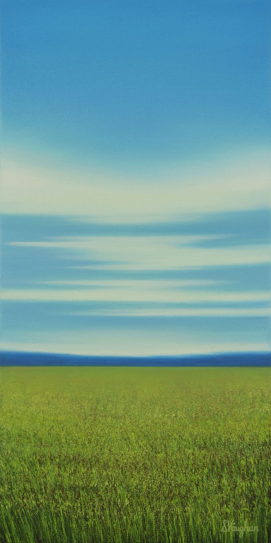 Grassy Meadow - Blue Sky Landscape