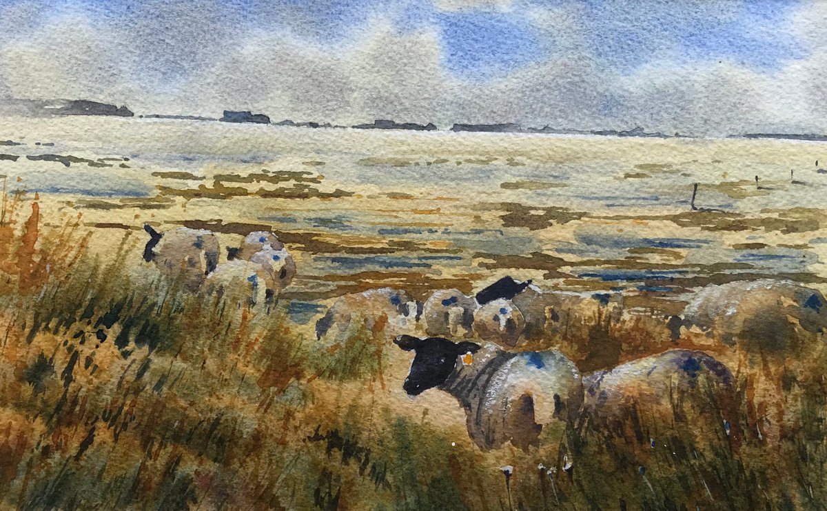 Salt marsh lamb by Vicki Washbourne