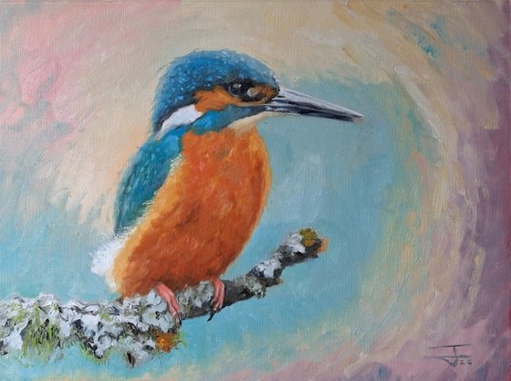 Kingfisher on the lichen