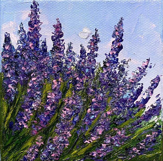 Lavender in the wind
