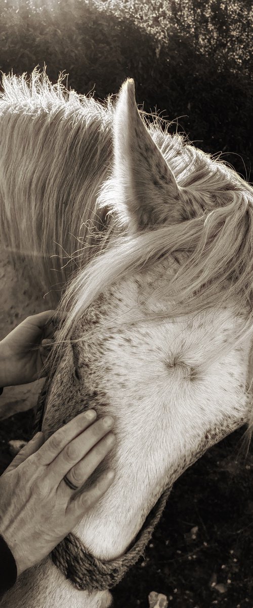 The touch by Nektaria Thalia