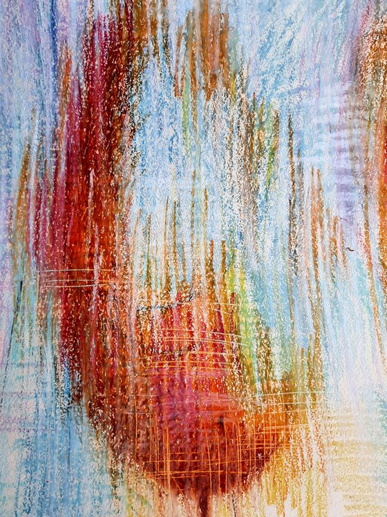 Multicolored Tulips 1