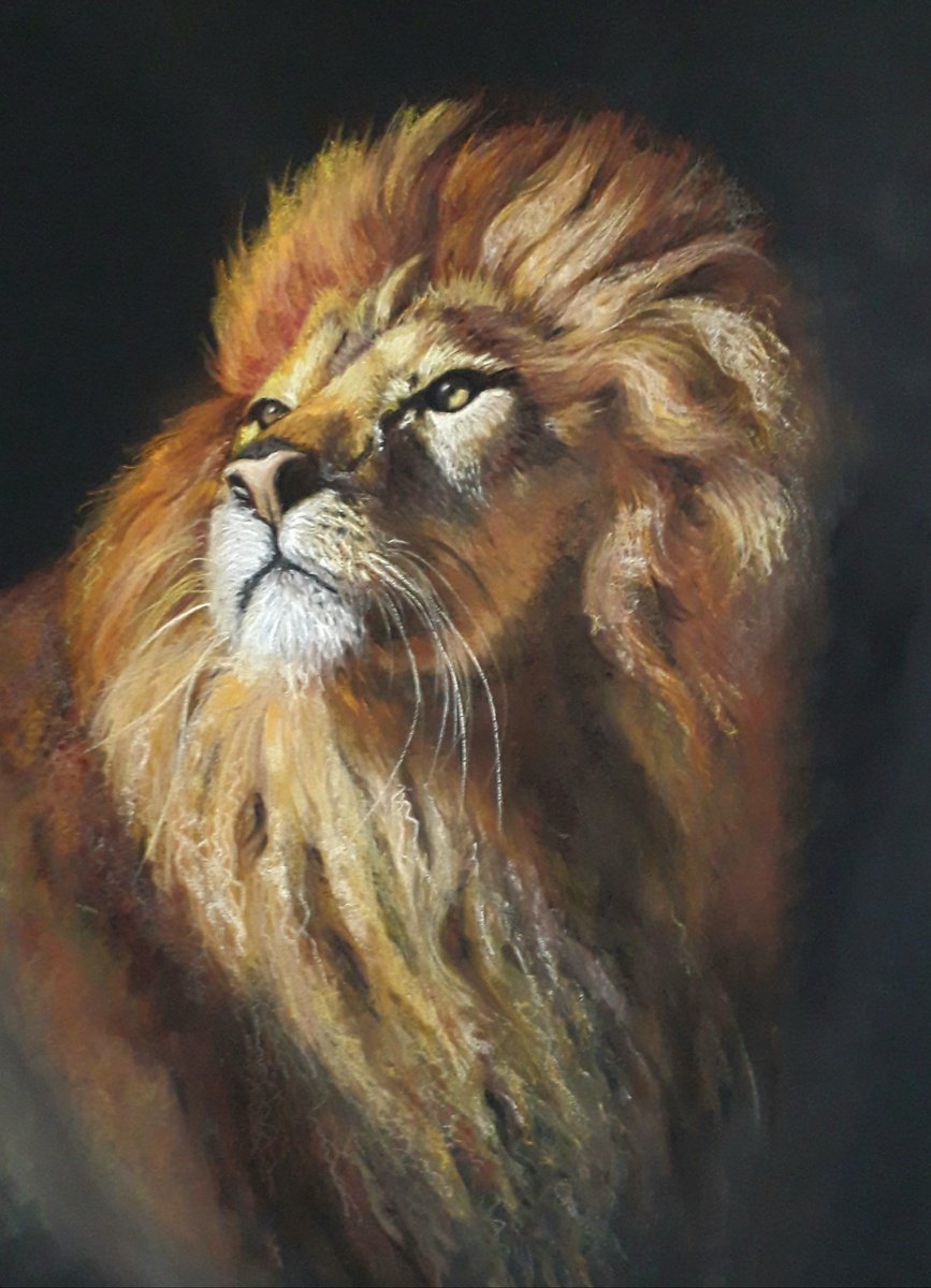 THE KING by Semire Akyaz?