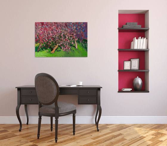 Blooming Peach Trees