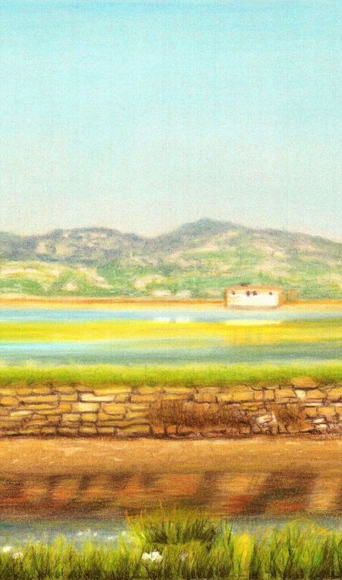 Spring Colors in Salinas  BEAUTIFUL LANDSCAPE series III by Nives Palmić