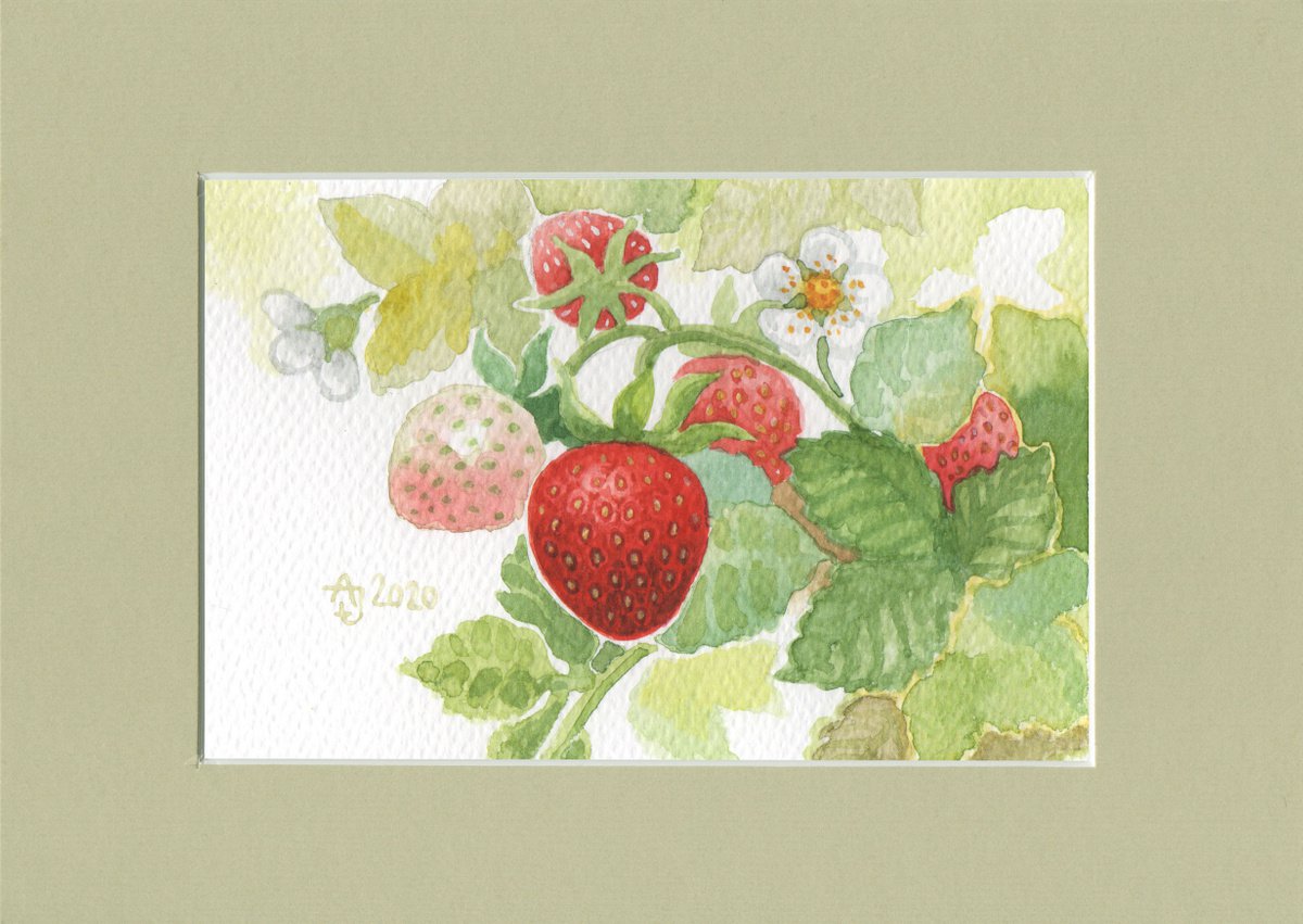 Spring is coming - Strawberries by Jolanta Czarnecka