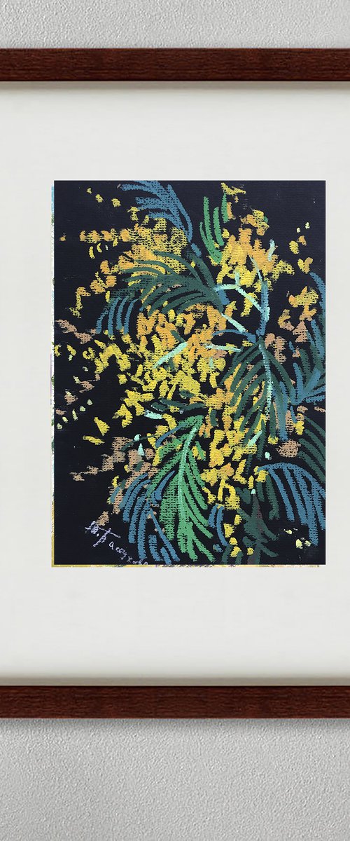 Mimosa sketch by Yuliia Pastukhova