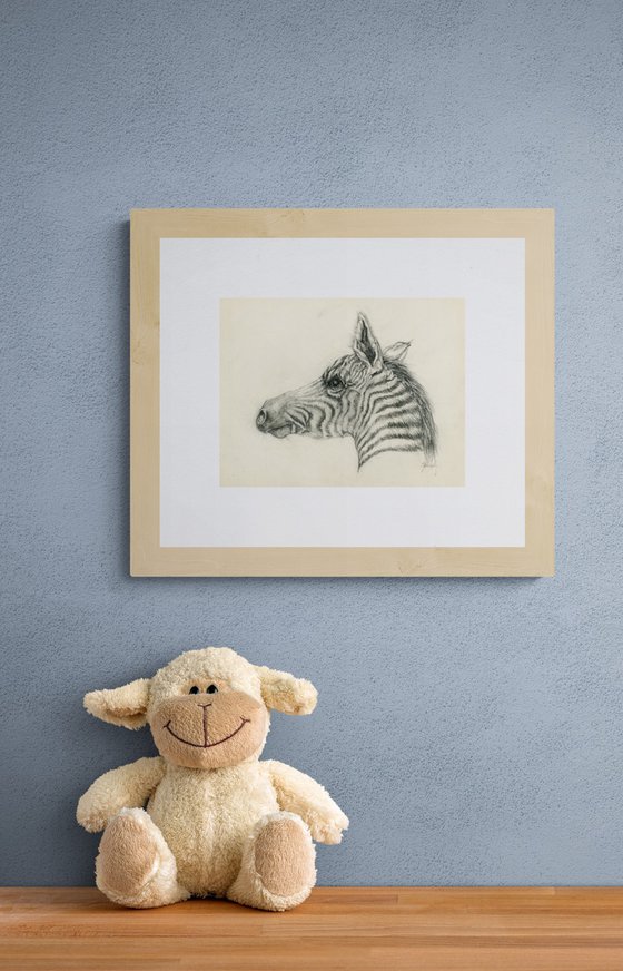 baby zebra drawing