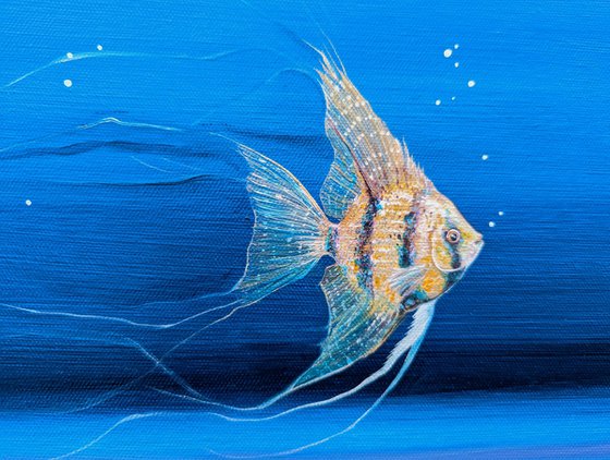 Vanguard of the Angels underwater seascape with fish