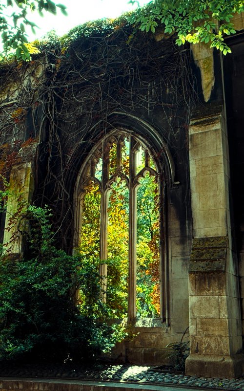 Through Time by Tatiana Zappa