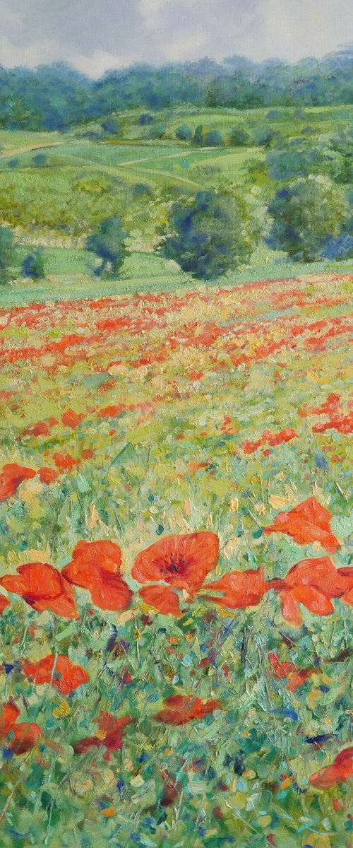 Poppy fields in Tuscany by Claudio Ciardi