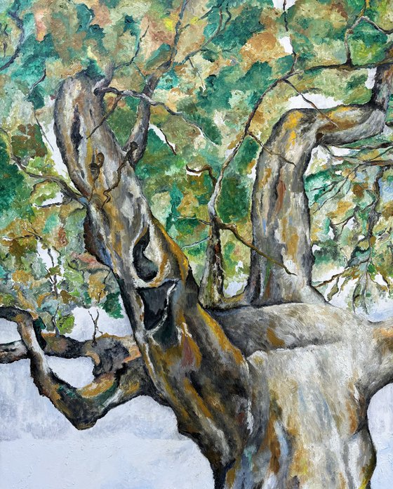 Old tree