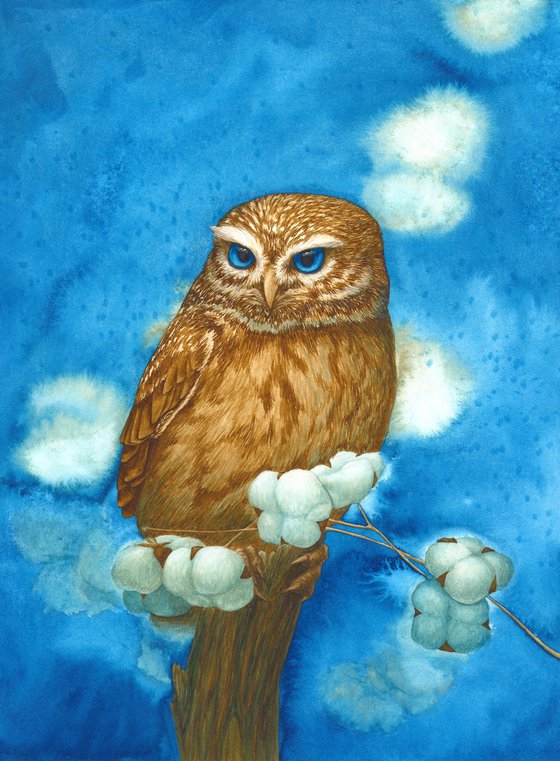 Owl with cotton