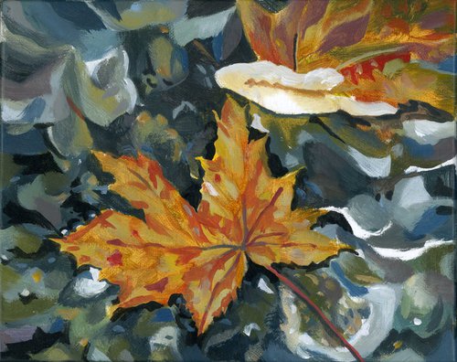 Leaves in water by Alfred  Ng