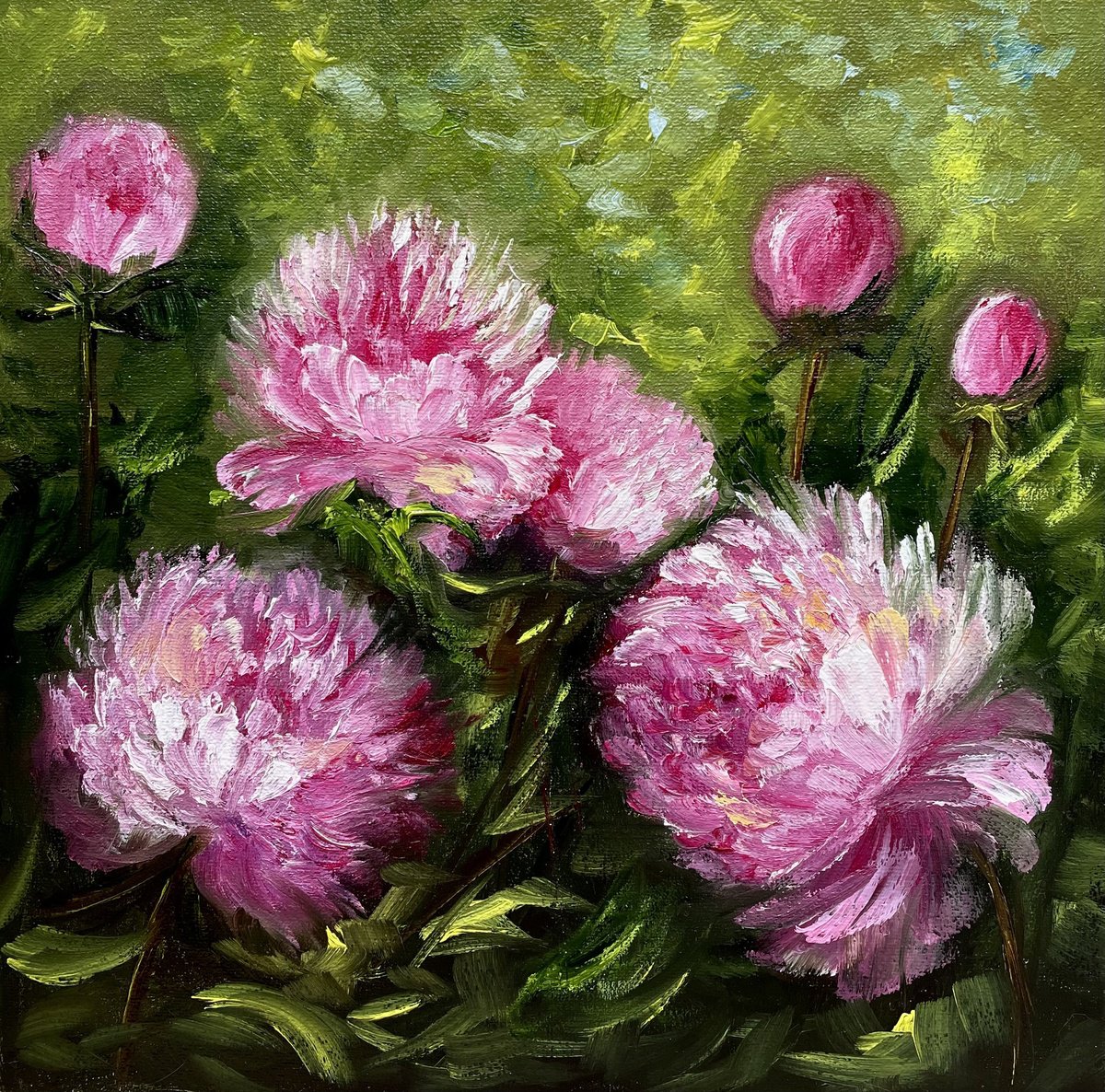 Impressionistic Botanical Oil Painting By Tanja Frost, 12 X 12", Floral Gift - Pink Peonies, Original Artwork