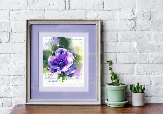 Purple light. Anemone
