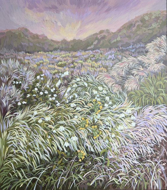 Fields Salute the Sun