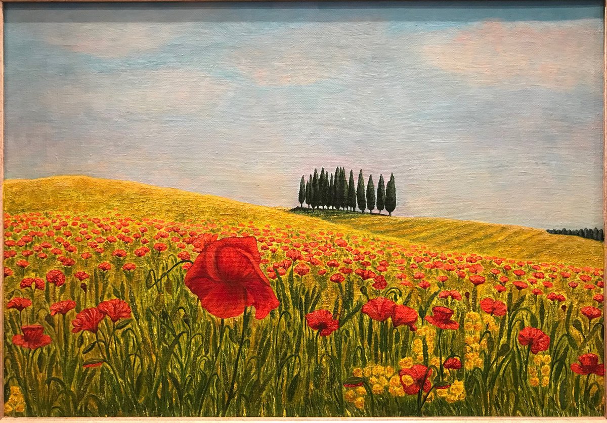 Original oil painting Red poppy - 50x35 cm (2015) by Evgeniya Roslik