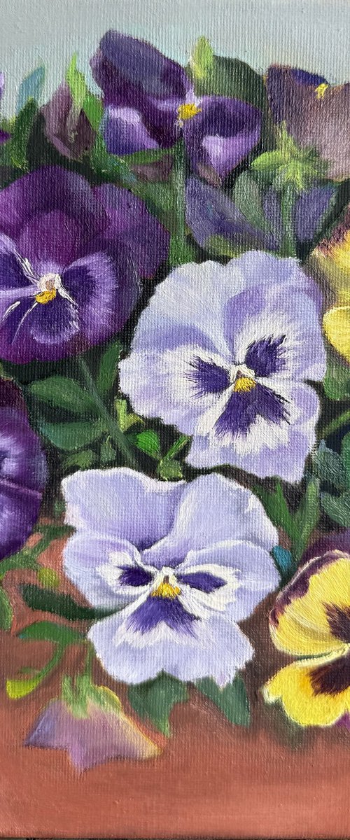 A pot of Pansies by Julia Tan SH