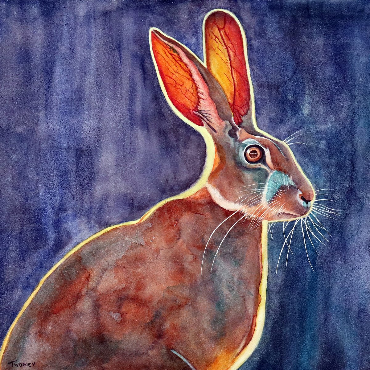 Animal Painting By Catherine Twomey, 12 X 12, African Jack Rabbit, Original Artwork